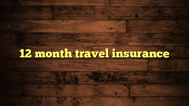 12 month travel insurance