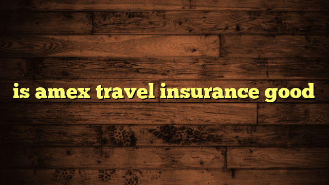 is amex travel insurance good