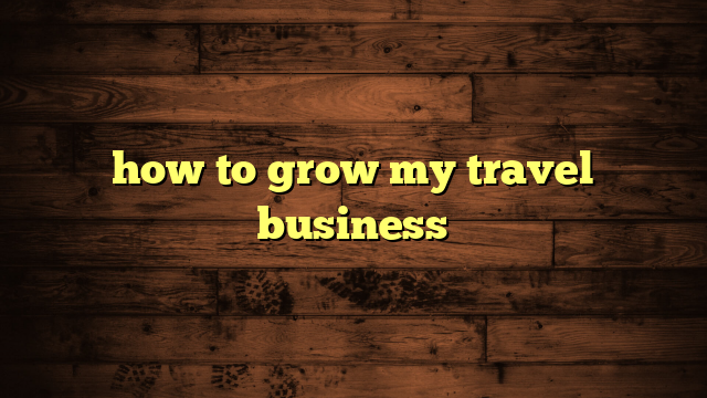 how to grow my travel business