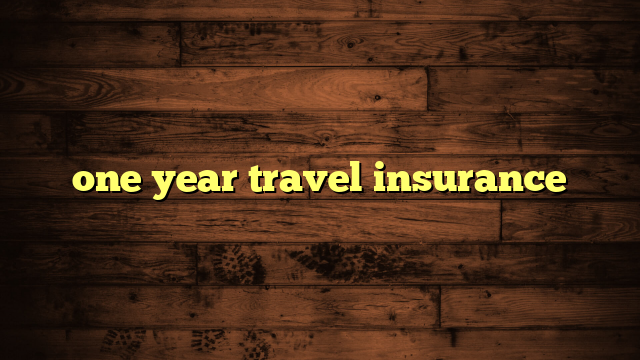 one year travel insurance