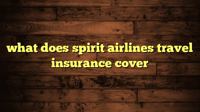 what does spirit airlines travel insurance cover