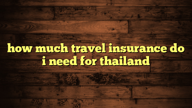 how much travel insurance do i need for thailand