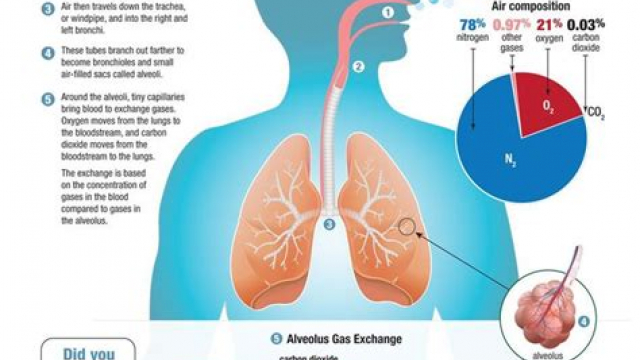 Travel Pulmonary Function Jobs