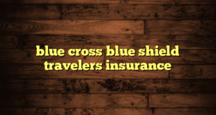 blue cross blue shield travelers insurance