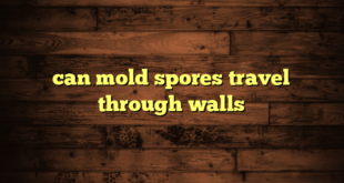 can mold spores travel through walls