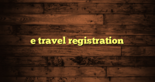 e travel registration