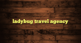 ladybug travel agency