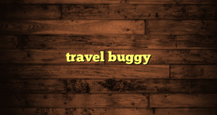 travel buggy