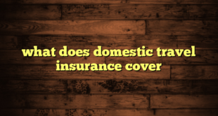 what does domestic travel insurance cover