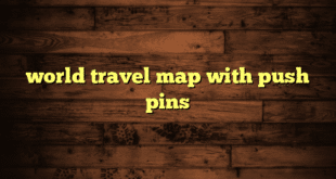 world travel map with push pins