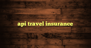 api travel insurance