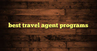 best travel agent programs