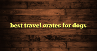 best travel crates for dogs