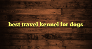 best travel kennel for dogs