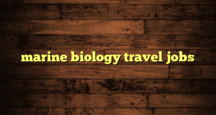 marine biology travel jobs