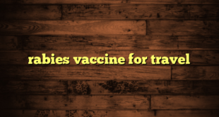 rabies vaccine for travel