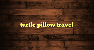 turtle pillow travel