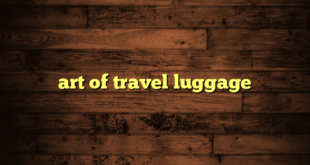 art of travel luggage