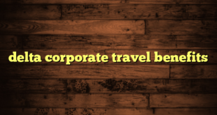 delta corporate travel benefits