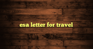 esa letter for travel