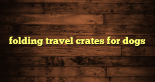 folding travel crates for dogs