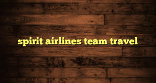 spirit airlines team travel