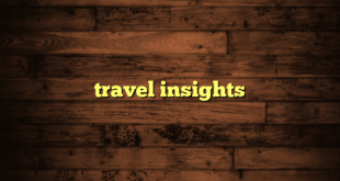 travel insights